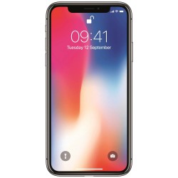 Telefon Apple iPhone X 256GB Space Gray - CA NOU